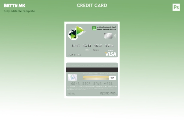 Модерен стил шаблон за банкарска виза картичка Algeria Banque Nationale d'Algéri